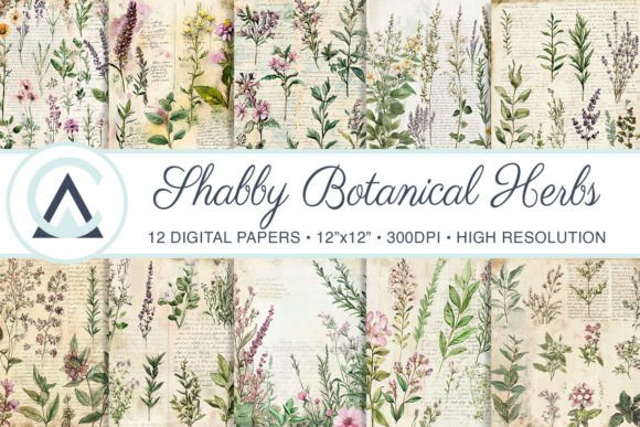 Botanical Herbs Shabby Chic Backgrounds: A Designer's Guide