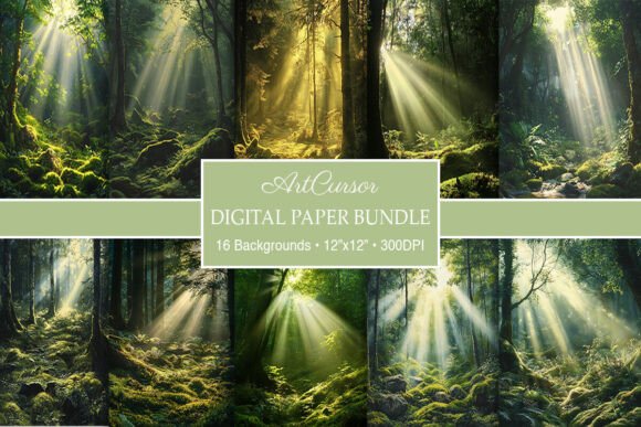 Serene Sun Rays Forest Paper Backgrounds for Your Projects